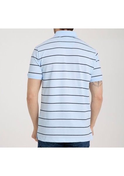 Polo Mavi Çizgili Regular Fit