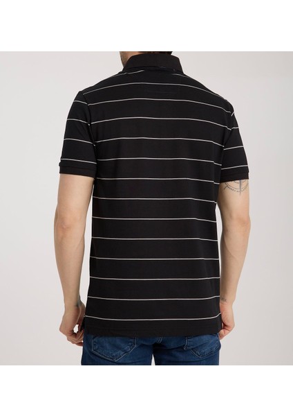 Polo Siyah Çizgili Regular Fit