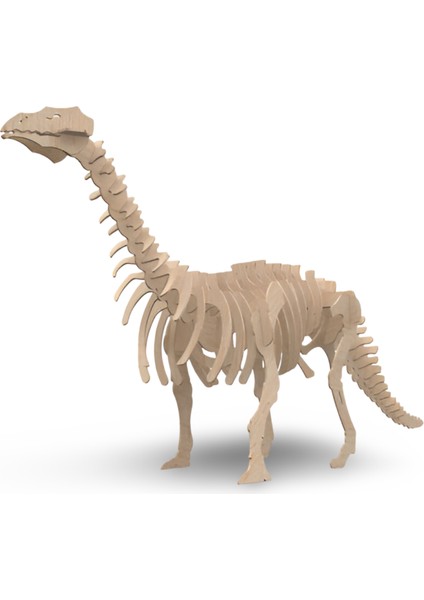 54 Parça Brontosaurus Ahşap Dinozor Maketi - Dev Brontosaurus Maketi Ahşap Eğitim Seti