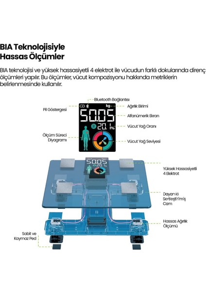 RBS4000 Wellness Akıllı Vücut Analiz Tartısı – Yağ, Kas, Sıvı Ölçer, 4 Elektrot, Bluetooth