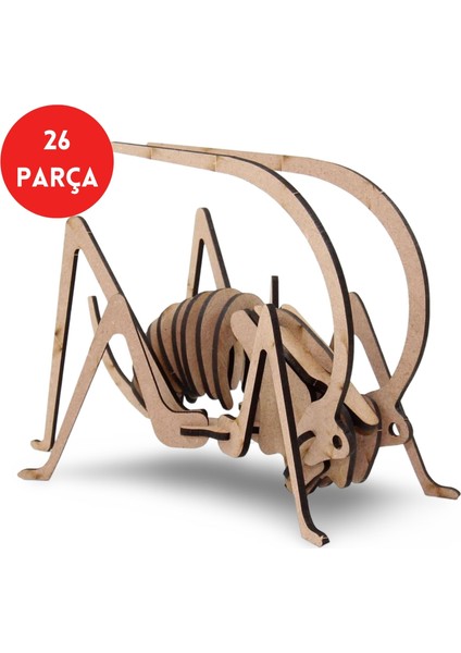 26 Parça Ahşap Çekirge Maketi - Ahşap Böcek Figürü - Eğitici Ahşap 3D Çekirge Figürü