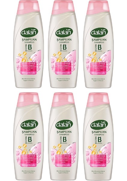 Şampuan Güçlü ve Parlak 450 ml x 6 Adet