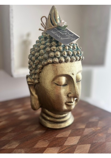 Buda modelleri