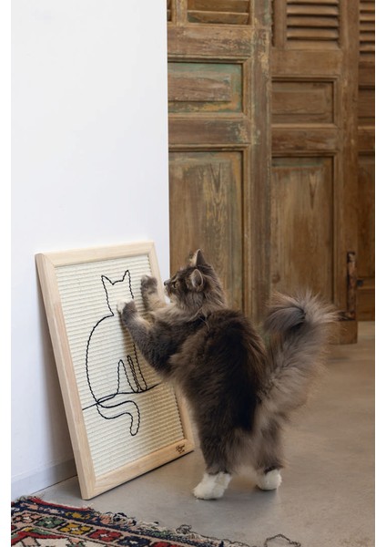 Dbl Kedi Tırmalama Tahtası, 50X40X2CM Inslm
