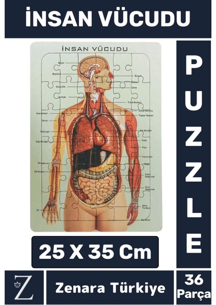 Premium Eğlenceli Eğitici Görsel Algı Motor Becerisi Geliştiren Çocuk Puzzle 36 Parça Insan Vücudu