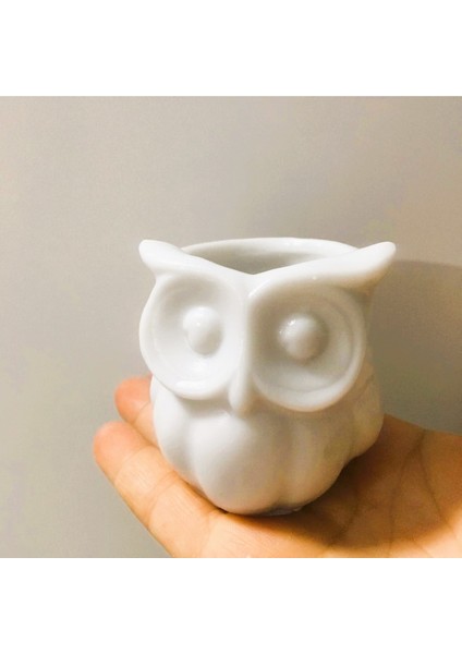 5cm Mini Baykuş Saksı Silikon Kalıp K-1066