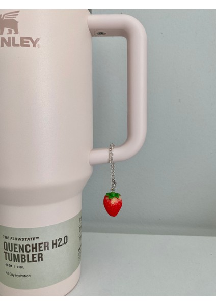 Çilek Termos Charm