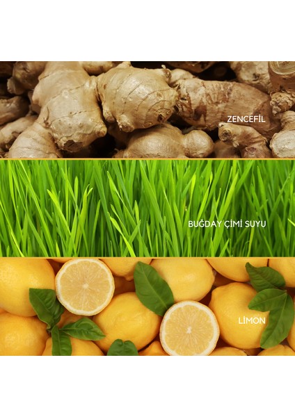 Ginger Shot Büyük Boy 72G 30 Porsiyon Zencefil, Limon, Buğday Çimi Suyu Tozu Dondurularak Kurutulmuş, Glutensiz, Vegan fiyatları
