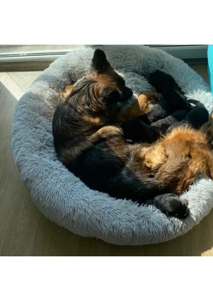 Fluffy Peluş, Fermuarlı Kedi Köpek Simit Yatağı - Renk: Füme fiyatları