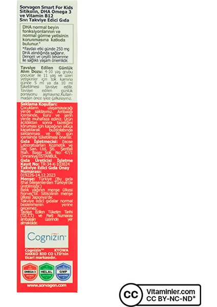 Smart Kids Sitikolin Dha Omega 3 ve B12 150 ml