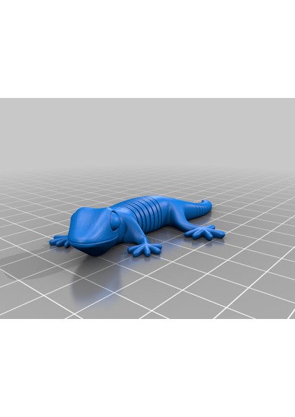 Zigzag Bendy Gecko (Plastik Aparattır!!!)