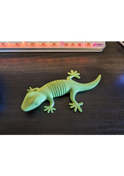 Zigzag Bendy Gecko (Plastik Aparattır!!!)