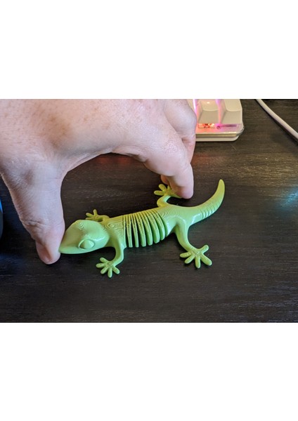 Zigzag Bendy Gecko (Plastik Aparattır!!!)