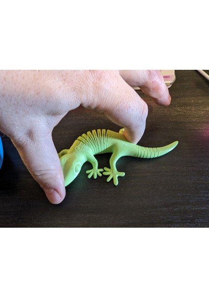 Zigzag Bendy Gecko (Plastik Aparattır!!!)