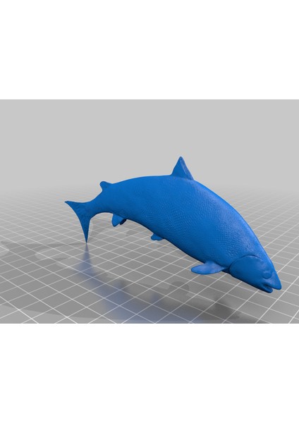 Somon Balığı (Plastik Aparattır!!!) modelleri