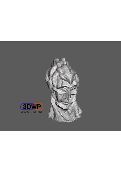 Picasso - Kadın Başı (Heykel 3D Tarama) (Plastik Aparattır!!!)