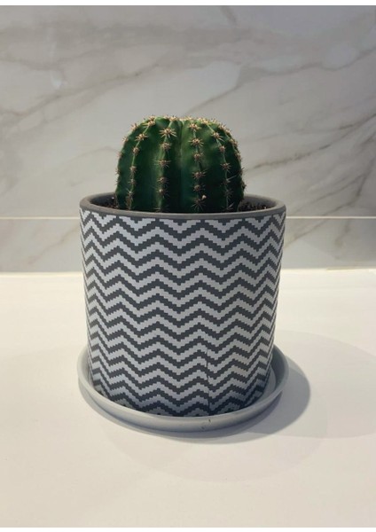 Saksı Tabağı 115 mm (Plastik Aparattır!!!) fırsatları