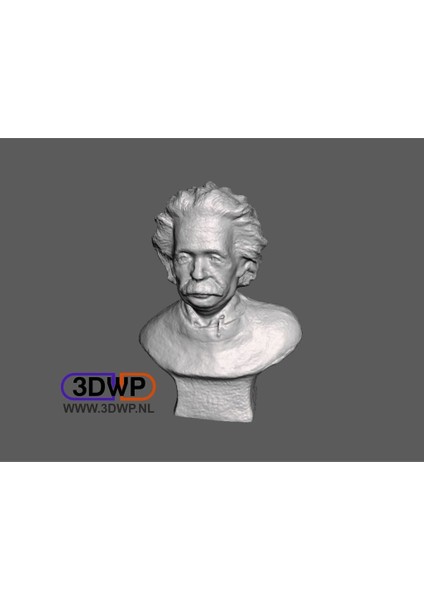 Einstein Heykeli (Göğüs 3D Tarama) (Plastik Aparattır!!!)