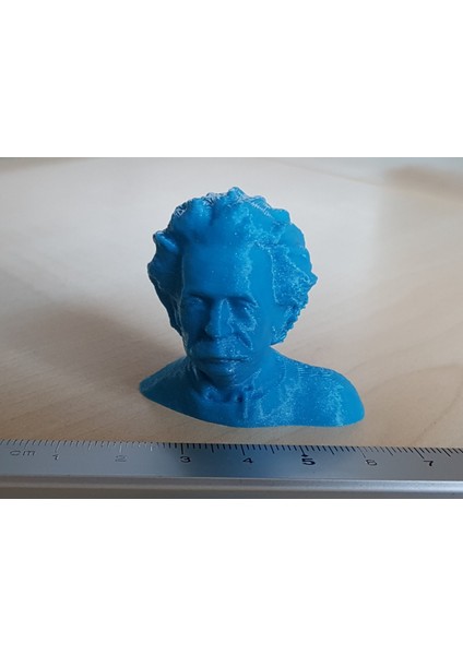 Einstein Heykeli (Göğüs 3D Tarama) (Plastik Aparattır!!!) fırsatları
