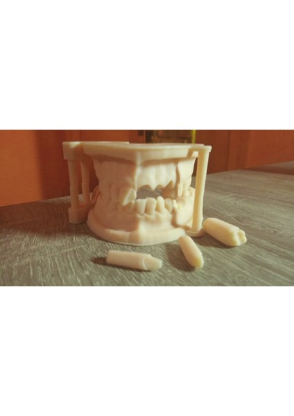 Dental Model + Antagonist + Üç Diş (Remix) (Plastik Aparattır!!!) modelleri