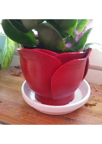 Gül Yaprağı Saksı (Plastik Aparattır!!!)