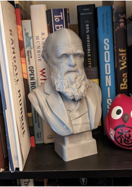 Charles Darwin'in Büstü, 1899 Dolayları (Plastik Aparattır!!!)