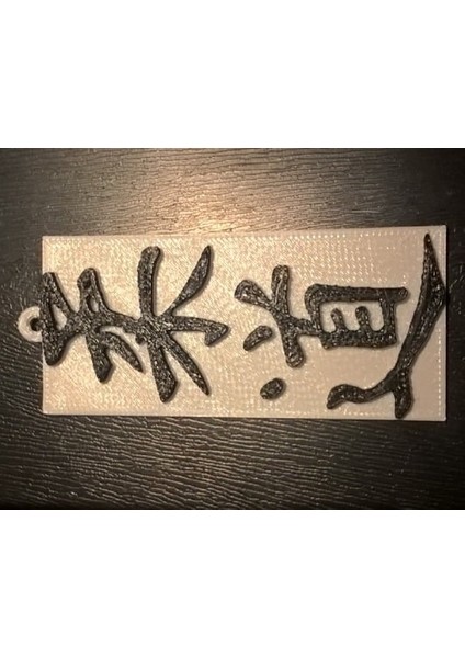 Judo Anahtarlık (Plastik Aparattır!!!)