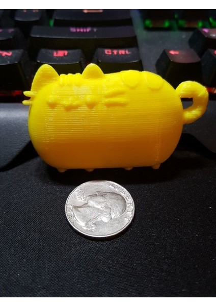 Pusheen Anahtarlık (Plastik Aparattır!!!)