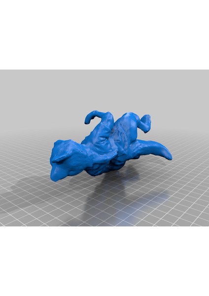 Aurelia'nın 3D Taraması (Plastik Aparattır!!!) modelleri