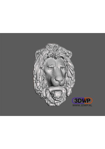Aslan Başlı Duvar Askısı (Heykel 3D Tarama) (Plastik Aparattır!!!) fiyatları