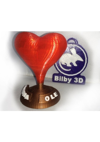 Sevgililer Günü Kalpli Isim Plaketi (Plastik Aparattır!!!) fiyatları