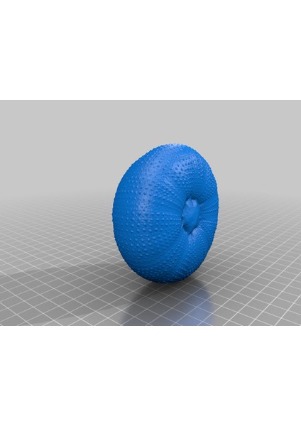 Deniz Kestanesi Taraması, Nextengine Tarayıcı (Plastik Aparattır!!!) modelleri