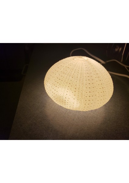 Deniz Kestanesi Taraması, Nextengine Tarayıcı (Plastik Aparattır!!!) fırsatları