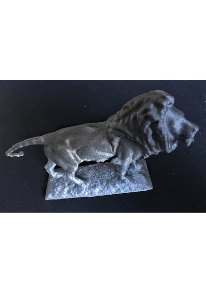 Aslan, Chicago Sanat Enstitüsü (Plastik Aparattır!!!) indirimleri