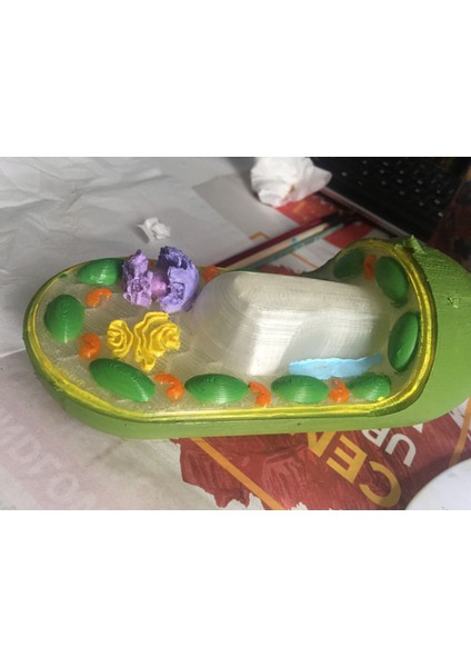 Bitki Hücresi Bitki Hücresi (Plastik Aparattır!!!) fırsatları