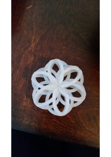 Yaşam Tohumu (Plastik Aparattır!!!) modelleri