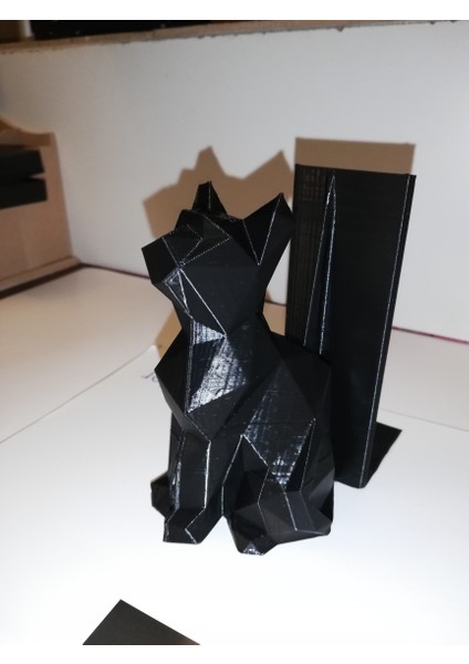 Poligon Mesh Kedi Kitap Ayağı (Plastik Aparattır!!!)