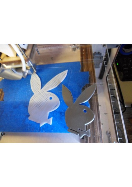 Playboy Tavşanı (Plastik Aparattır!!!)