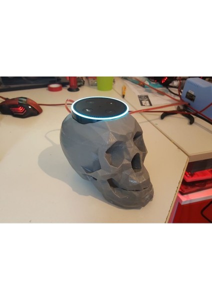 Kafatası Yankı Nokta Tutucu Alexa (Plastik Aparattır!!!)