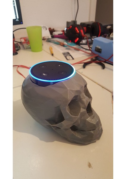 Kafatası Yankı Nokta Tutucu Alexa (Plastik Aparattır!!!) fırsatları