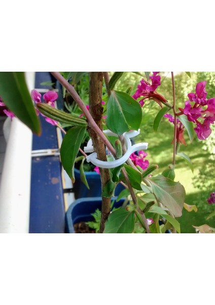 Bitki Klipsi (Plastik Aparattır!!!) indirimleri