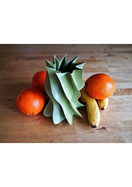 Cemile Vazosu (Plastik Aparattır!!!)