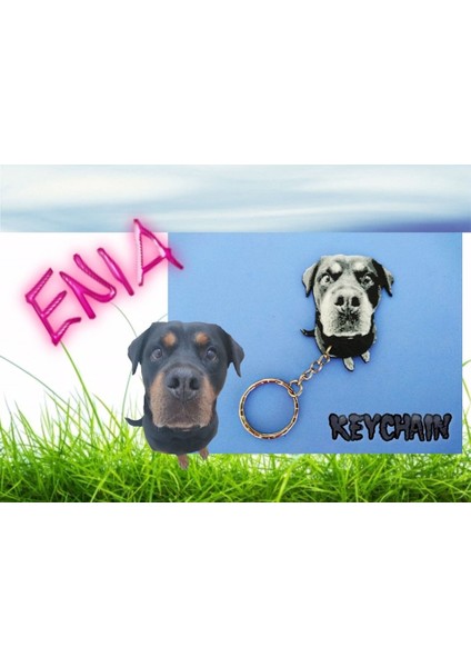 Rottweiler Enıa Anahtarlık (Plastik Aparattır!!!)
