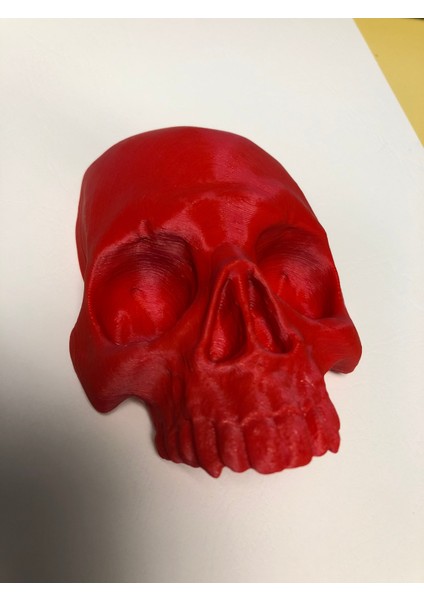 Kafatası Yüzü (Plastik Aparattır!!!) modelleri