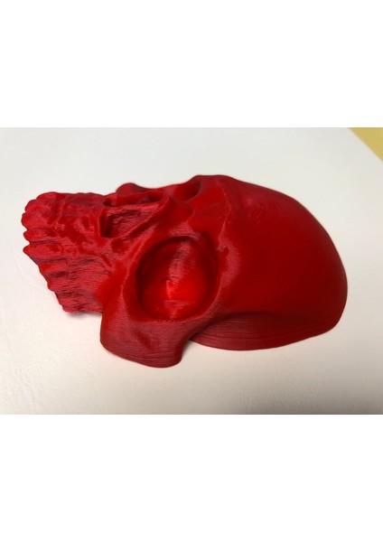 Kafatası Yüzü (Plastik Aparattır!!!) fırsatları