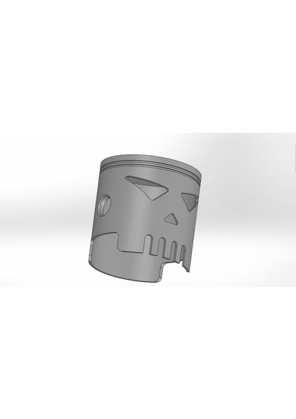 Piston Kafatası (Plastik Aparattır!!!) fiyatları