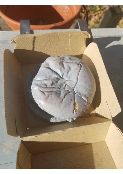Mcdonalds Mcchicken Sandviçinin Ilk Yüksek Çözünürlüklü Taraması! (Plastik Aparattır!!!) modelleri