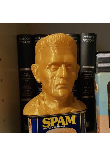 Frankenstein Canavarı Büstü (Plastik Aparattır!!!)