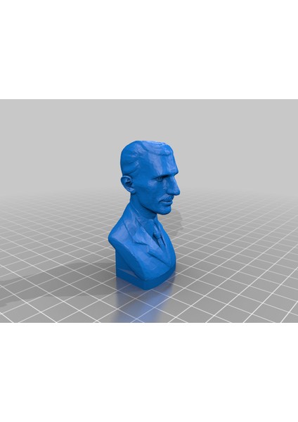 Nikola Tesla'nın Büstü (Plastik Aparattır!!!)
