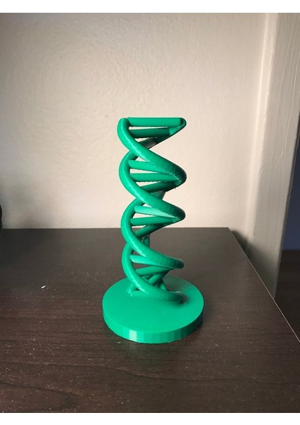 Dna Ölçek Modeli (Plastik Aparattır!!!)